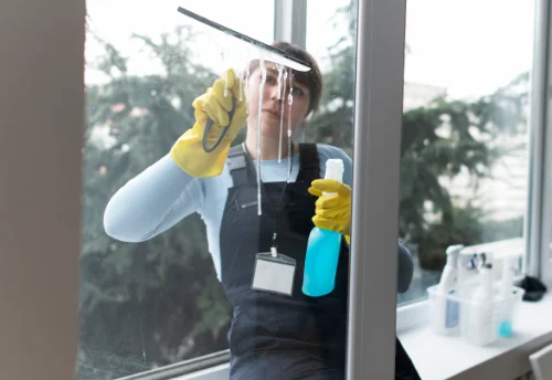Nettoyage de vitres intérieures et extérieures à Auzet